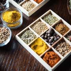 Spices and herbs. Variety of spices