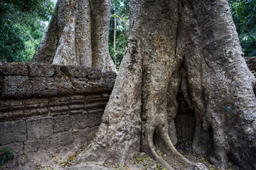 Tempels of Angkor