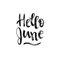 Hello June. Vector brush lettering. Black quote isolated on white background. Summer phrase in grunge style