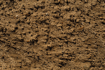 Wet sand texture for the background image