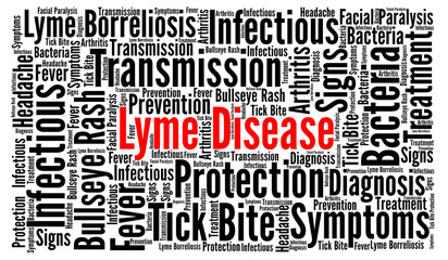 Lyme disease word cloud 