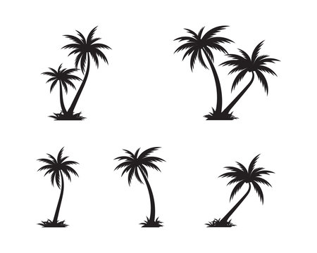 Palm tree icon template vector illustration
