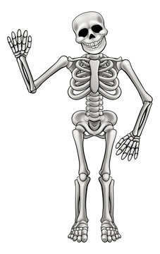 recommend clip art: Cartoon Skeleton