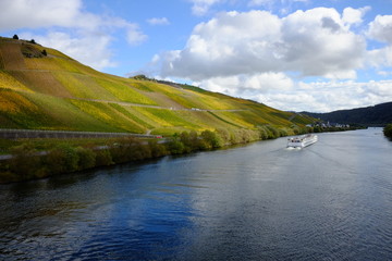 Weinberge und Landschaft an der Mosel bei Ürzig