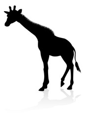 Giraffe Safari Animal Silhouette