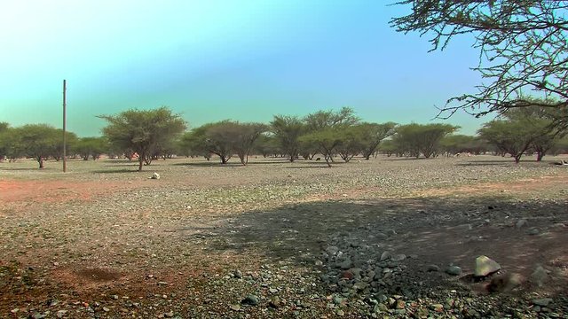 Plain of Shimal in Ras al Khaimah.