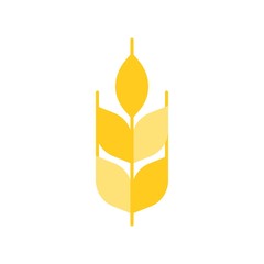 Wheat or barley icon, flat design vector