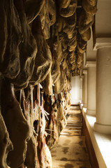Fototapeta premium Iberian cured hams stored in a drying room during the curing process