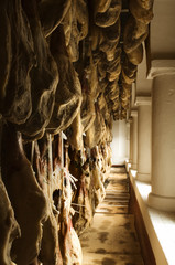 Iberian cured hams stored in a drying room during the curing process