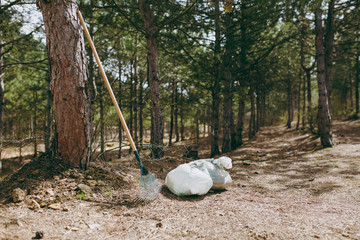 Instruments Rake for garbage collection, trash bags among bushes and trees in park or forest....