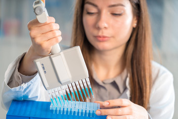 Microbiological laboratory scientist woman with multi channel pipette going DNA test