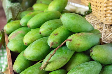 prepare green mango in basket for sale