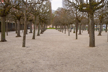 Park in Weilburg im Frühling