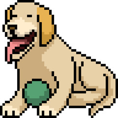 Fototapeta premium vector pixel art dog play ball
