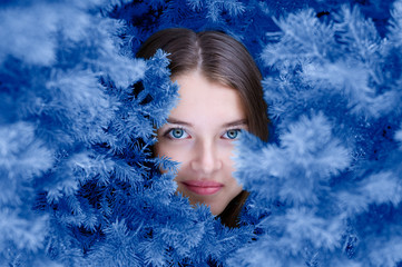 beautiful girls face among blue firtree branches