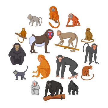 Different monkeys icons set. Cartoon illustration of 16 different monkeys vector icons for web