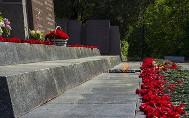 Red carnations by the eternal flame.