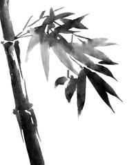 Tropical bamboo with leaves