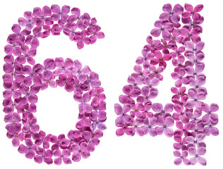 Arabic numeral 64, sixty four, from flowers of lilac, isolated on white background