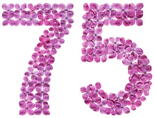 Arabic numeral 75, seventy five, from flowers of lilac, isolated on white background