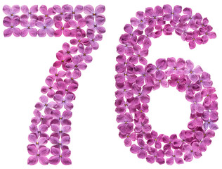 Arabic numeral 76, seventy six, from flowers of lilac, isolated on white background