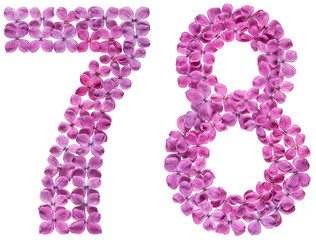 Arabic numeral 78, seventy eight, from flowers of lilac, isolated on white background