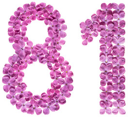 Arabic numeral 81, eighty one, from flowers of lilac, isolated on white background