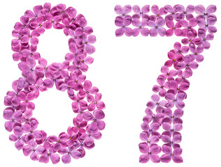 Arabic numeral 87, eighty seven, from flowers of lilac, isolated on white background