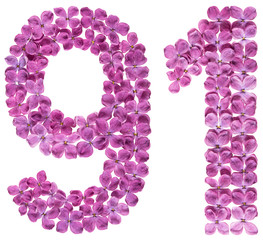 Arabic numeral 91, ninety one, from flowers of lilac, isolated on white background