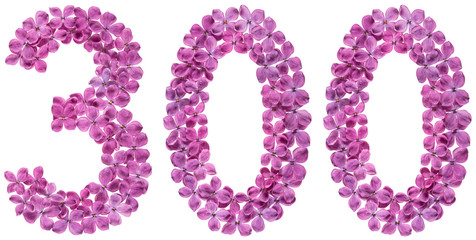 Arabic numeral 300, three hundred, from flowers of lilac, isolated on white background