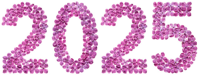 Numeral 2025 from flowers of lilac, isolated on white background