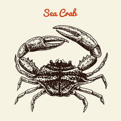 Crustacean crab with claws. River and lake or sea creature. Freshwater aquarium. Poster for the menu. Engraved hand drawn in old vintage sketch. Seafood background.