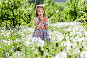 dandelion field white girl beautiful happy little baby green meadow yellow flowers dandelions nature park garden