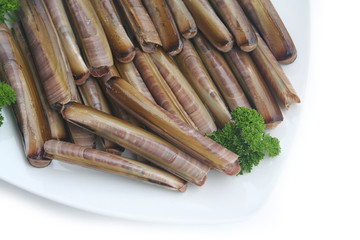 Fresh Razor clams on a plate with parsley isoletd on white background