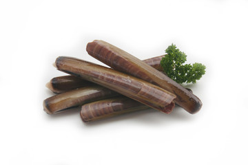 Fresh Razor clams with parsley isoletd on white background