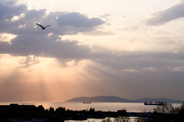 Cumulus sunset clouds with sun setting down light with sea and seagull
