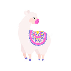 Cute lama character illustration. Alpaca isolated vector icon.