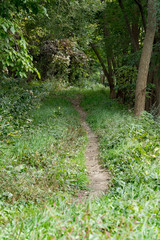 けもの道のイメージ / 山奥のイメージ