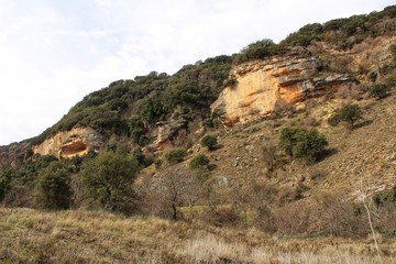 Fototapeta na wymiar Mountain landscape with green vegetation in spring
