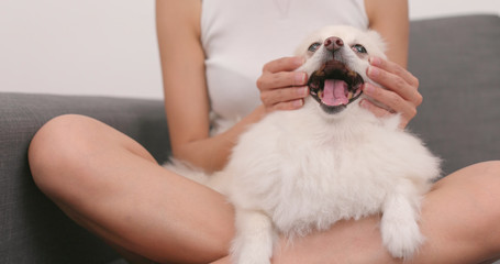Woman touch with Pomeranian dog