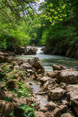 Mountain river flowing in the forest