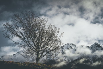 Fototapeta na wymiar mountain moody landscape - springtime mood - desaturated style image