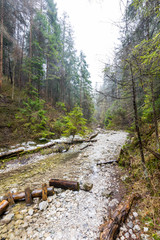Slovakia paradise - The Sucha Biela river canyon with tourist path. Hiking in the river canyon, forest trees on the sides. Beautiful nature in the spring forest
