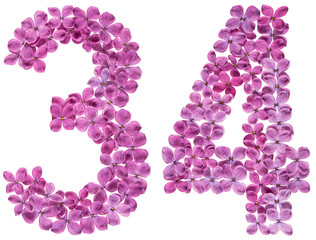 Arabic numeral 34, thirty four, from flowers of lilac, isolated on white background
