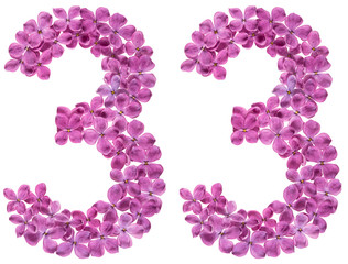Arabic numeral 33, thirty three, from flowers of lilac, isolated on white background