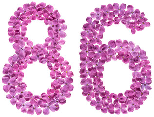 Arabic numeral 86, eighty six, from flowers of lilac, isolated on white background