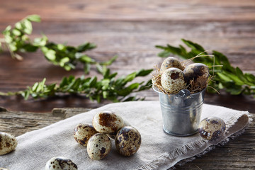 Spring composition of quail eggs in bucket on a linen napkin and boxwood branch, selective focus