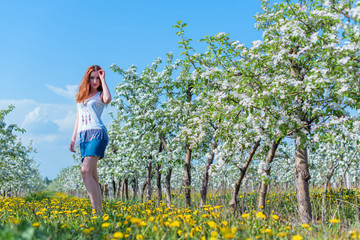 Fototapeta premium Beautiful girl in apple blossom garden on a spring day. Summer romantic image of stylish casual woman in t shirt and jeans skirt , trendy and fashionable accessories . positive mood 
