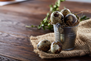 Spring composition of quail eggs in bucket on a linen napkin and boxwood branch, selective focus