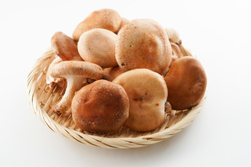 椎茸